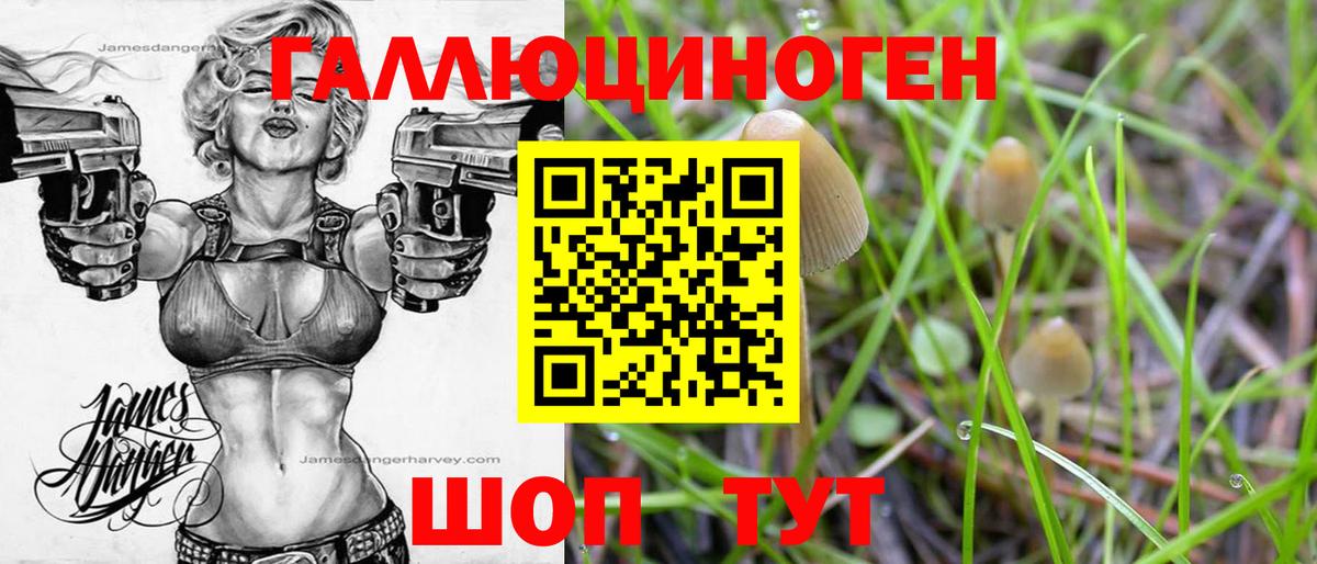 Псилоцибиновые грибы GOLDEN TEACHER  Вход с VPN  магазин    Ишим  Псилоцибиновые грибы Psilocybe 